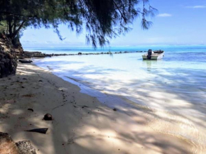 MOOREA - Local Spirit 5, Hauru